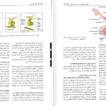 دانلود پی دی اف کتاب بافت شناسی جعفر سیلمانی راد PDF