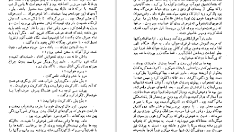 دانلود پی دی اف کتاب مادر پرل باک PDF