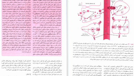 دانلود پی دی اف کتاب فارماکولوژی پایه و بالینی جلددوم کاتزونگ PDF