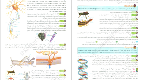 دانلود پی دی اف کتاب فاگوزیست دهم فردین جوادی PDF