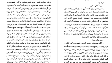 دانلود پی دی اف کتاب فاجعه در کرانه دریا انوره دو بالزاک PDF