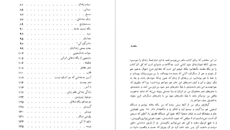 دانلود پی دی اف کتاب ظل الله رضا براهنی PDF