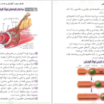 دانلود پی دی اف کتاب زیست تصویری کنکور مهر و ماه محمد عیسایی PDF