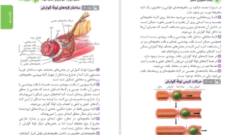 دانلود پی دی اف کتاب زیست تصویری کنکور مهر و ماه محمد عیسایی PDF