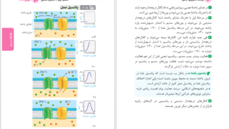 دانلود پی دی اف کتاب زیست تصویری کنکور مهر و ماه محمد عیسایی PDF