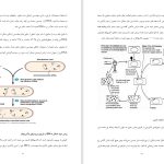 دانلود پی دی اف کتاب اخلاق زیستی دکتر امیرعباس مینایی فرد PDF