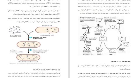 دانلود پی دی اف کتاب اخلاق زیستی دکتر امیرعباس مینایی فرد PDF