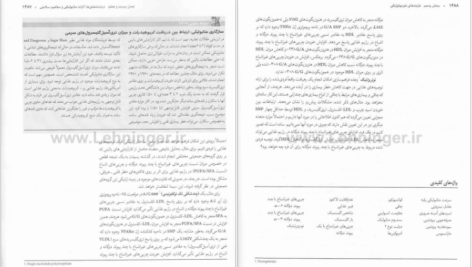 دانلود پی دی اف کتاب بیوشیمی دولین جلد 2 رضا محمدی PDF