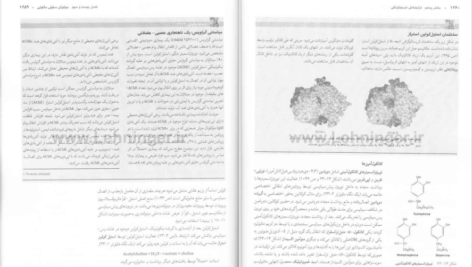 دانلود پی دی اف کتاب بیوشیمی دولین جلد 2 رضا محمدی PDF