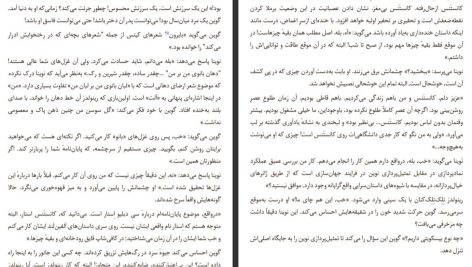 دانلود پی دی اف کتاب داماد یخ زده مارگارت اتوود PDF