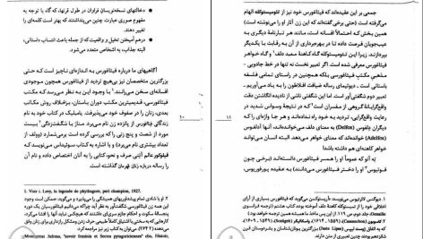 دانلود پی دی اف کتاب زنان فیلسوف در یونان و رم باستان رژین پی یترا PDF