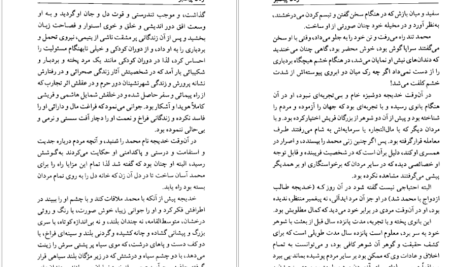 دانلود پی دی اف کتاب زنان پیغمبر عایشه بنت الشاطی PDF