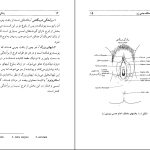 دانلود پی دی اف کتاب زندگی جنسی زنان محمد رضا نیکخو PDF