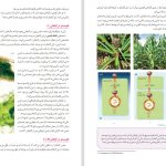 دانلود پی دی اف کتاب زیست شناسی دوازدهم مهدی آرام فر PDF