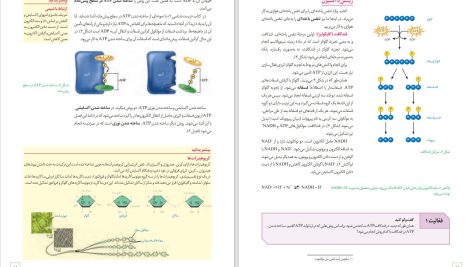 دانلود پی دی اف کتاب زیست شناسی دوازدهم مهدی آرام فر PDF