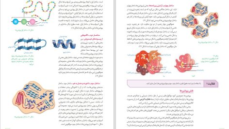 دانلود پی دی اف کتاب زیست شناسی دوازدهم مهدی آرام فر PDF