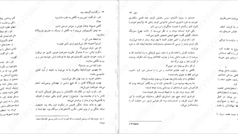 دانلود پی دی اف کتاب سرگذشت گروهان سیاه جلد دوم گلن کوک PDF