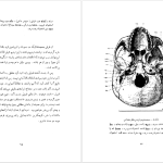 دانلود پی دی اف کتاب سنگواره های انسان عصر حجر دکتر روبر ژولین PDF