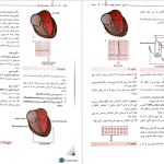 دانلود پی دی اف کتاب صفر تا صد نوار قلب داریوش حسن زاده PDF