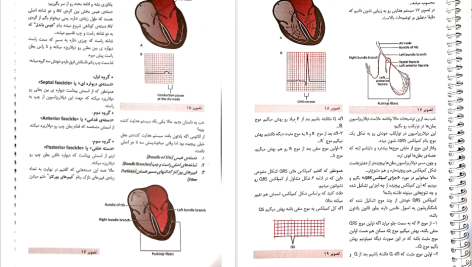 دانلود پی دی اف کتاب صفر تا صد نوار قلب داریوش حسن زاده PDF