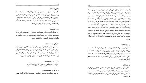 دانلود پی دی اف کتاب فرهنگ غرایب جلد ۲ سودابه فضایلی PDF