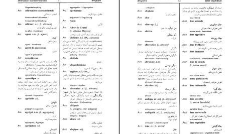 دانلود پی دی اف کتاب فرهنگ واژگان فلسفه رحمان جلینی PDF