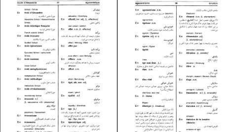 دانلود پی دی اف کتاب فرهنگ واژگان فلسفه رحمان جلینی PDF