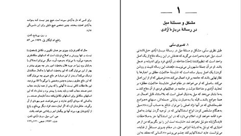 دانلود پی دی اف کتاب فلسفه سیاسی استوارت میل جان گری PDF