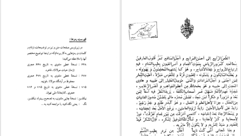 دانلود پی دی اف کتاب متن و شرح مثنوی معنوی مولوی مولانا جلاالدین محمد بلخی جلد چهارم PDF