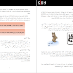 دانلود پی دی اف کتاب هکر قانونمند محسن آذرنژاد PDF