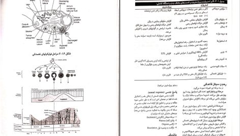 دانلود پی دی اف کتاب پرستاری و بهداشت مادران و نوزادان میترا ذوالفقاری PDF