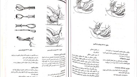 دانلود پی دی اف کتاب پرستاری و بهداشت مادران و نوزادان میترا ذوالفقاری PDF