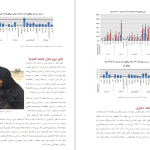 دانلود پی دی اف کتاب پژوهشی جامع بر ختنه زنان در ایران 1394 کامیل احمدی PDF