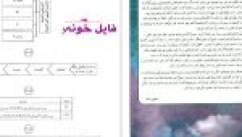 دانلود پی دی اف کتاب سیب سبز فیزیولوژی 1 امین ناصح مژدهی PDF