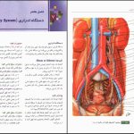 دانلود پی دی اف کتاب آناتومی عمومی ایمانه شمایلی یگانه PDF