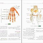 دانلود پی دی اف کتاب آناتومی عمومی ایمانه شمایلی یگانه PDF