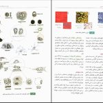 دانلود پی دی اف کتاب آناتومی عمومی ایمانه شمایلی یگانه PDF