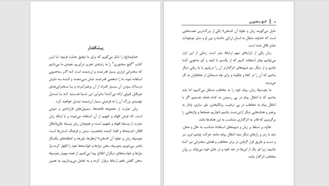 دانلود پی دی اف کتاب گنج سخنوری رسول خان امین و عابد افغان PDF