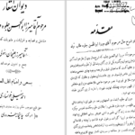 دانلود پی دی اف کتاب دیوان میرزا ابوالحسن جلوه PDF