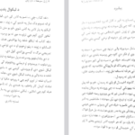 دانلود پی دی اف کتاب پل سوخته آخر دنیا نستوه نادری PDF