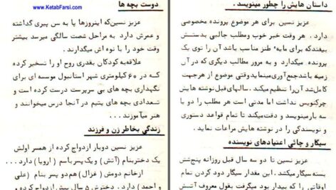 دانلود پی دی اف کتاب کار چاق کن عزیز نسین PDF