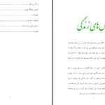 دانلود پی دی اف کتاب استاد عشق ایرج حسابی PDF