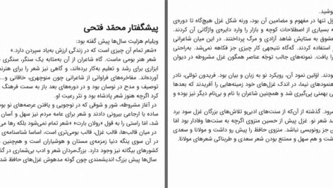 دانلود پی دی اف کتاب مجموعه اشعار حسین منزوری PDF