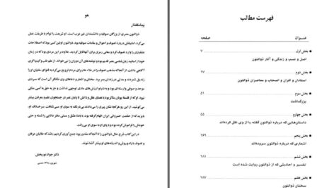 دانلود پی دی اف کتاب ذوالنون مصری دکتر جواد نوربخش PDF
