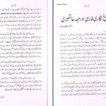 دانلود پی دی اف کتاب ھندوستان میں فارسی تاریخ نگاری پروفیسر شاه محمد وسیم PDF
