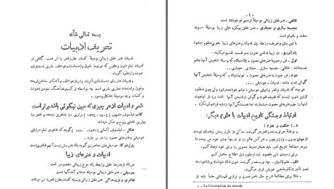 دانلود پی دی اف کتاب تاریخ ادبیات رضا دائی جواد PDF