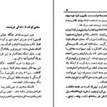 دانلود پی دی اف کتاب چاخان عزیز نسین PDF