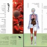 دانلود پی دی اف کتاب فرهنگ نامۀ بدن انسان استیو پارکر PDF