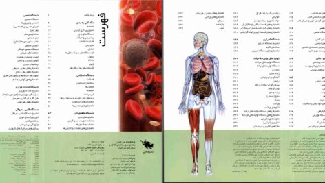 دانلود پی دی اف کتاب فرهنگ نامۀ بدن انسان استیو پارکر PDF