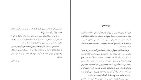 دانلود پی دی اف کتاب فرهنگ لغات زبان مخفی دکتر مهدی سمائی PDF